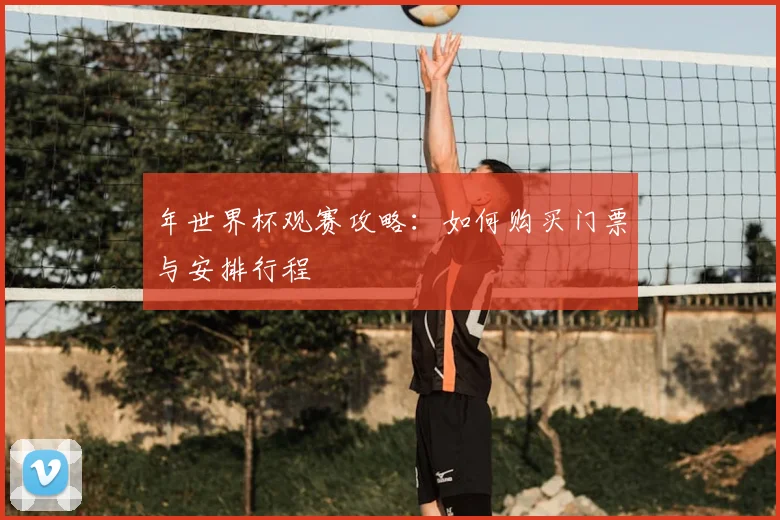 年世界杯观赛攻略：如何购买门票与安排行程