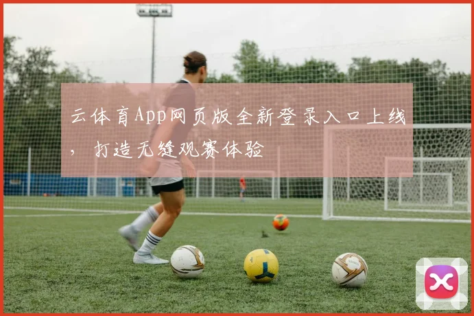 云体育App网页版全新登录入口上线,打造无缝观赛体验