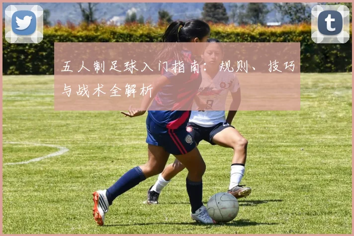 五人制足球入门指南：规则、技巧与战术全解析